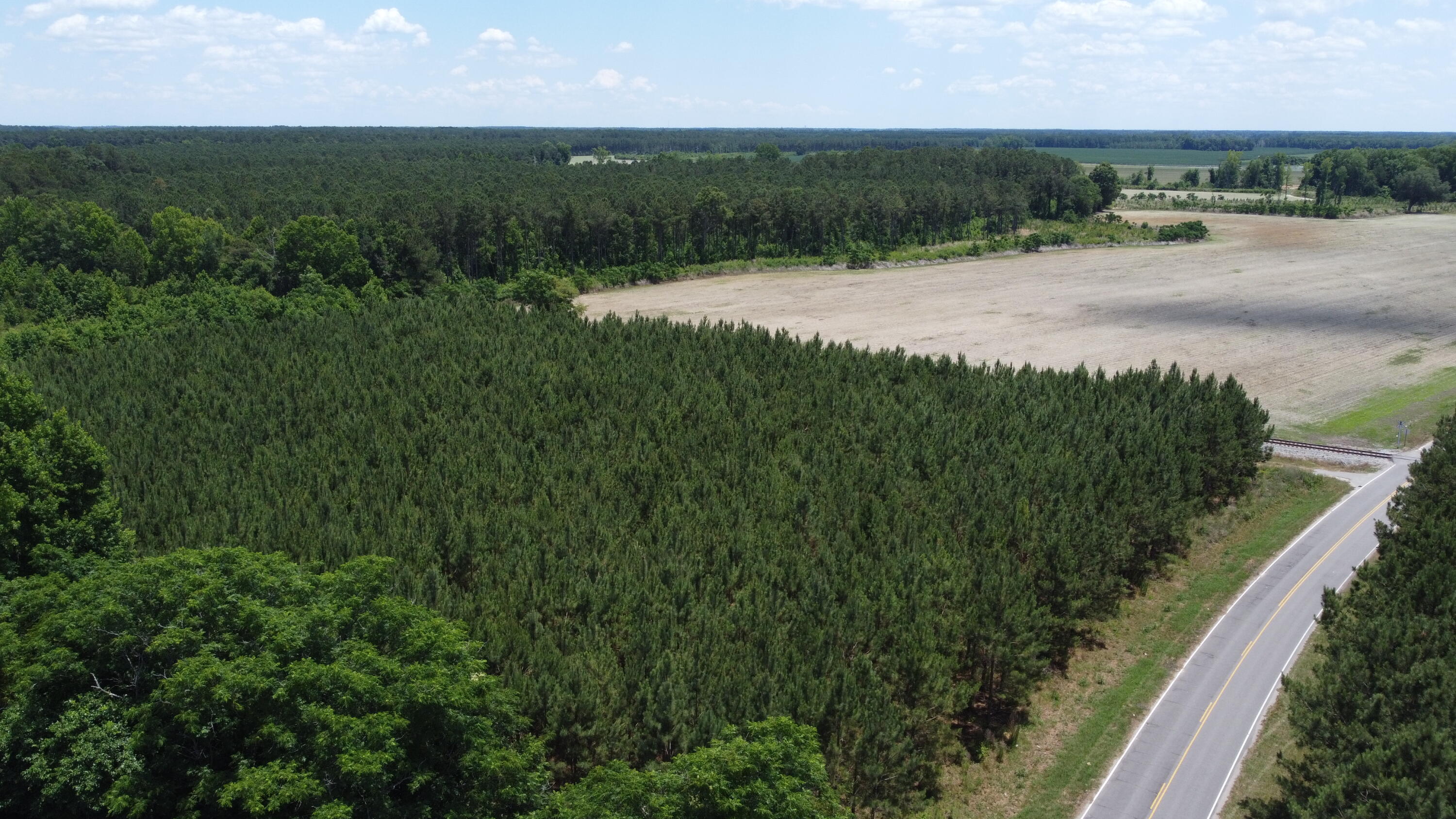 Nates Store Road, Cameron, South Carolina image 29