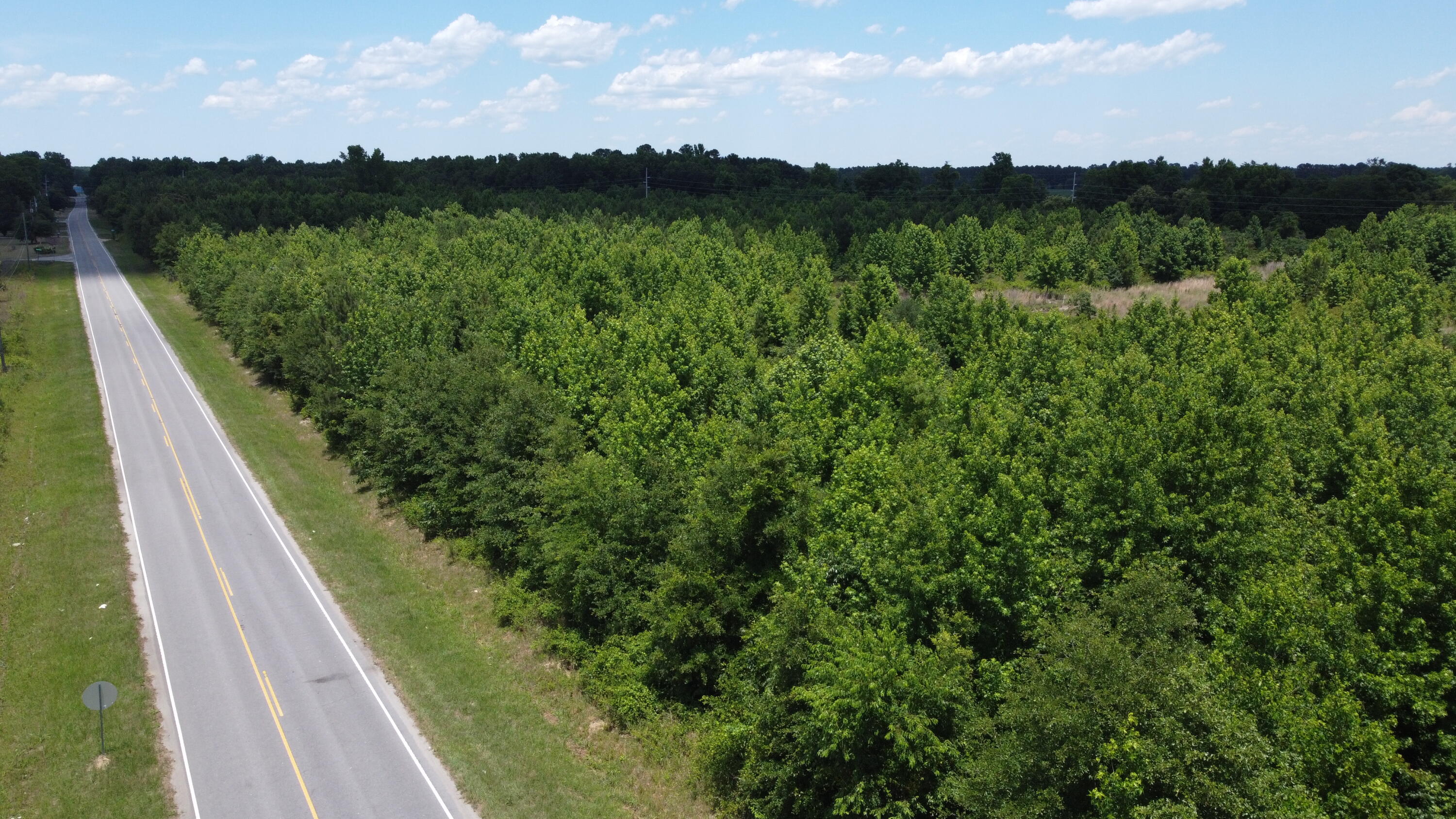 Nates Store Road, Cameron, South Carolina image 1