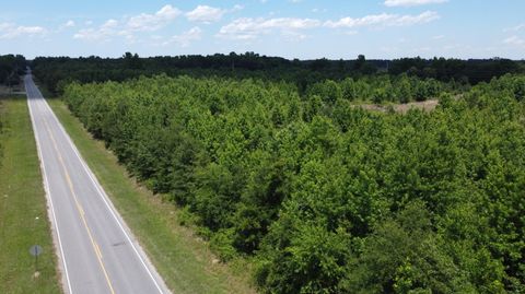 Vacant Land For Sale - Nates Store Road<br/> Calhoun County, Cameron, SC 29030