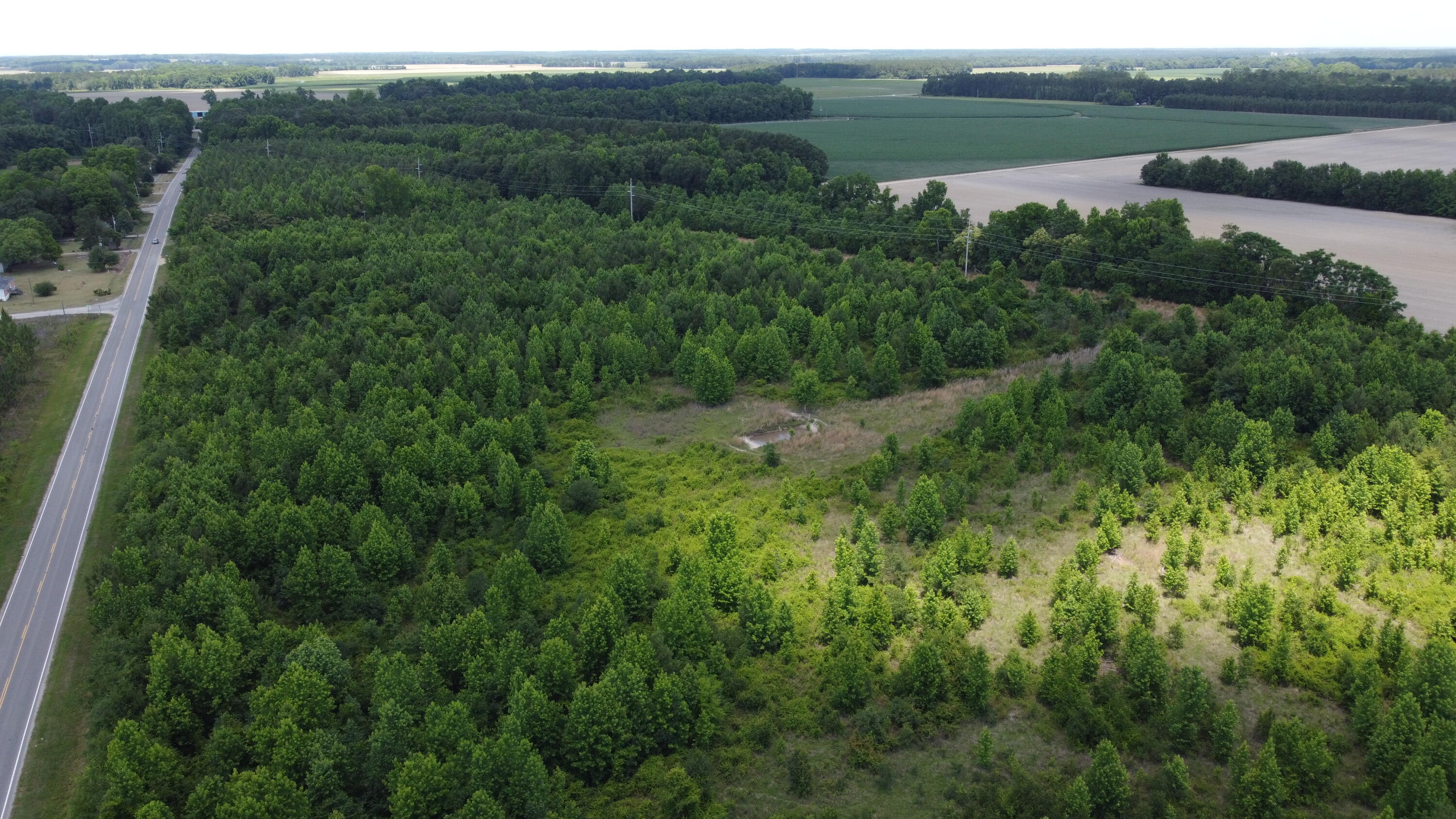 Nates Store Road, Cameron, South Carolina image 3