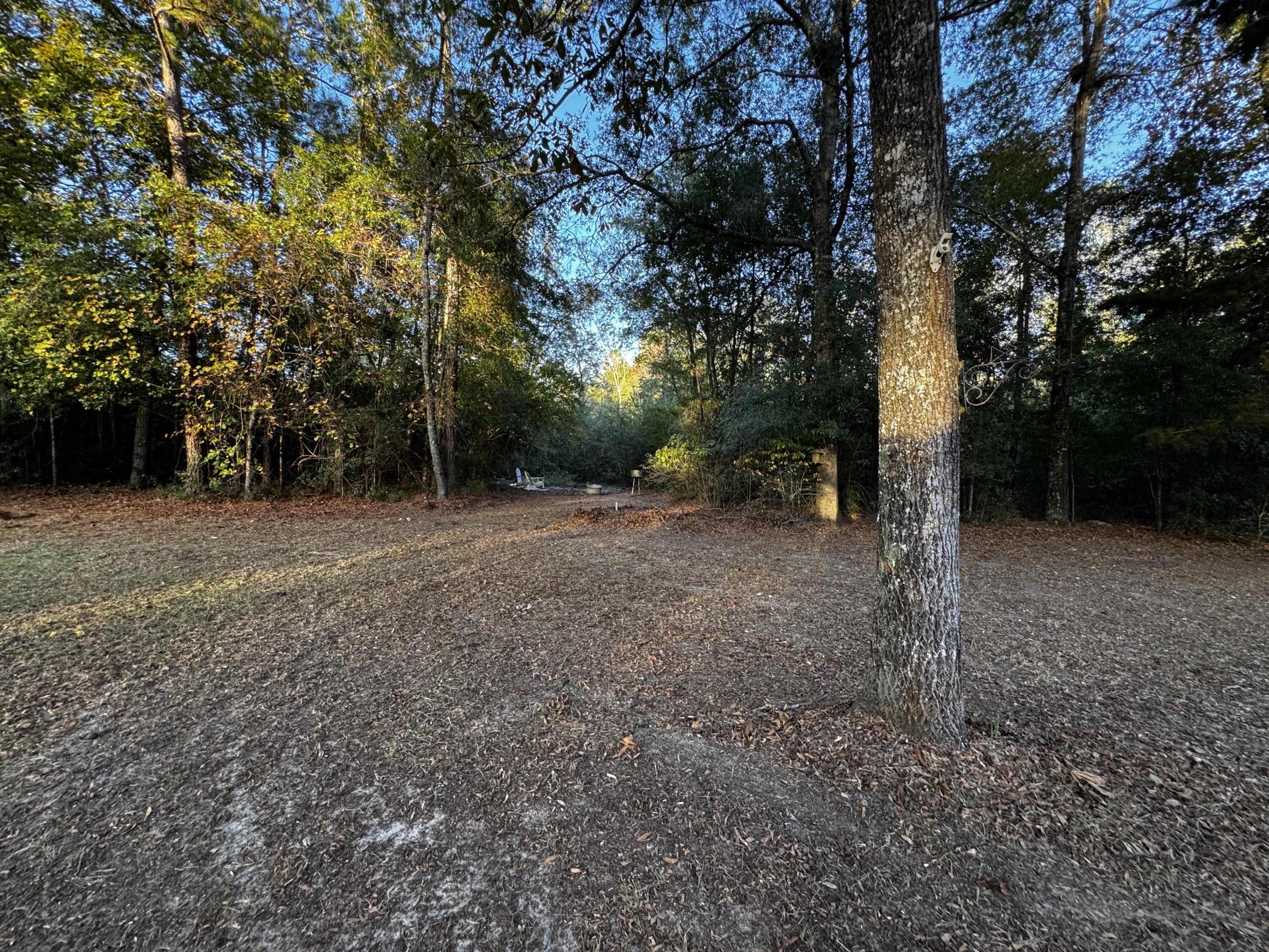 143 Fisk Road Road, Dorchester, South Carolina image 13