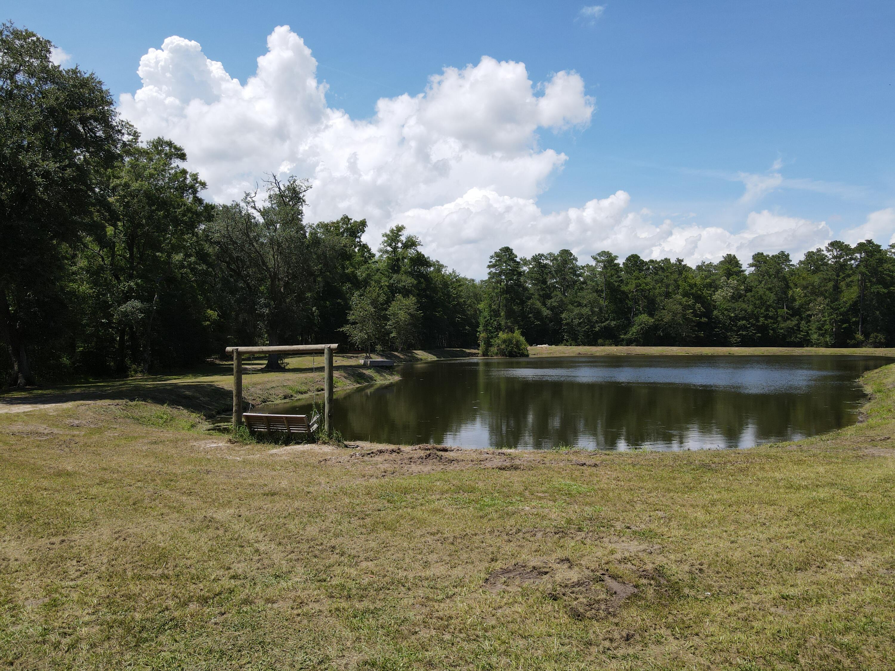 Gator Walk, Ridgeville, South Carolina image 11