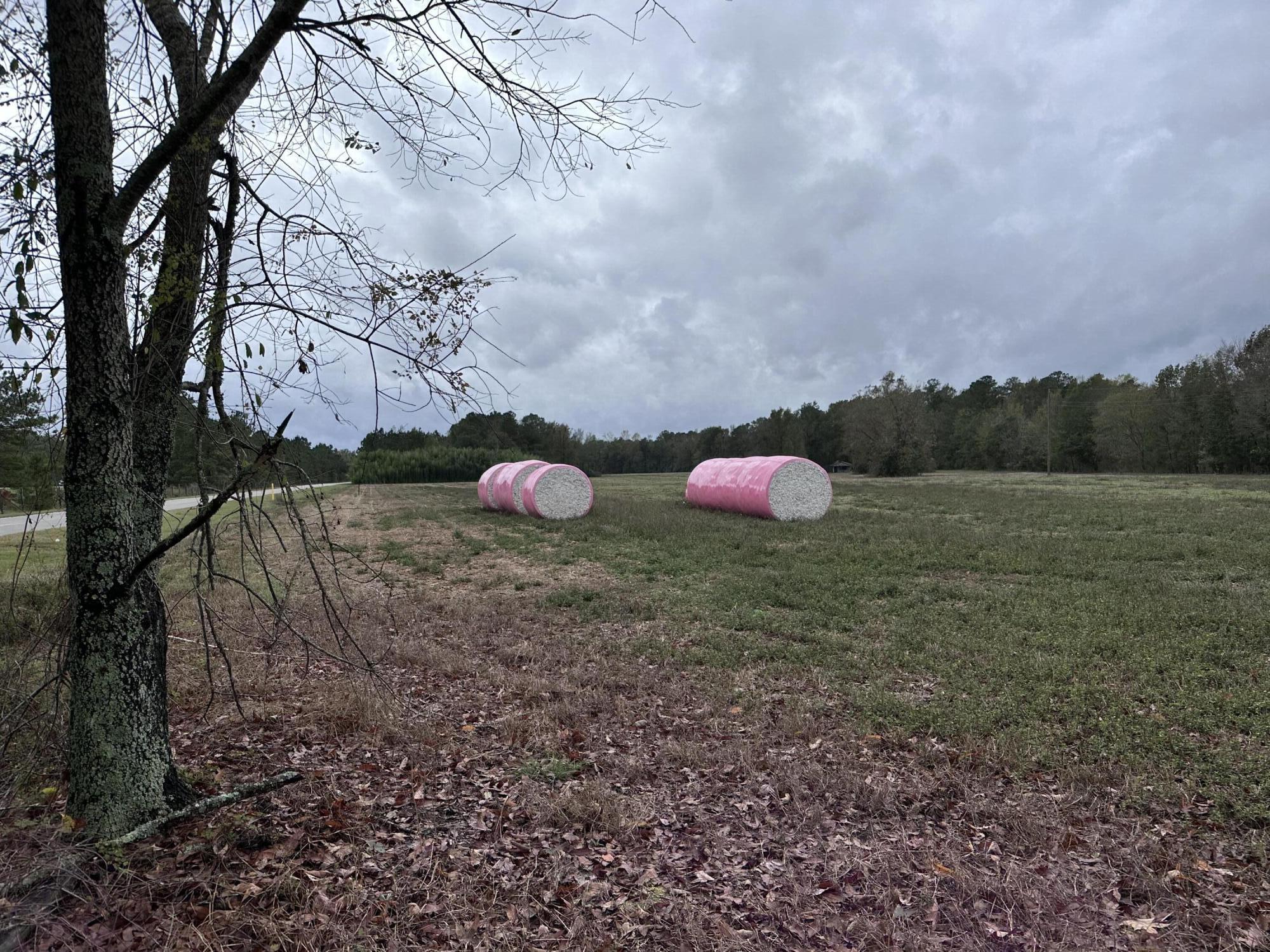00 Good Farm Road, Holly Hill, South Carolina image 3