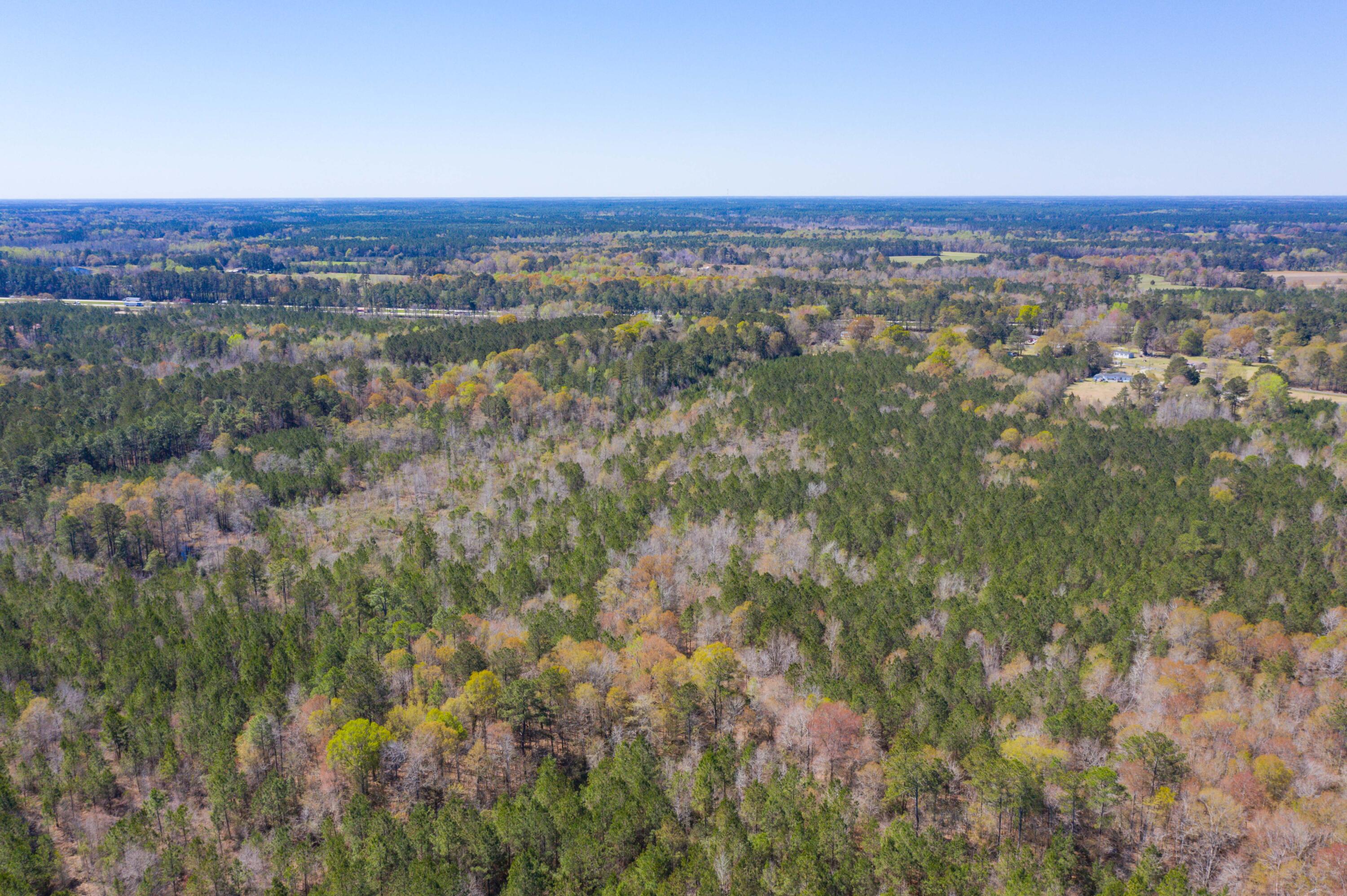 Two Churches Road, Harleyville, South Carolina image 14
