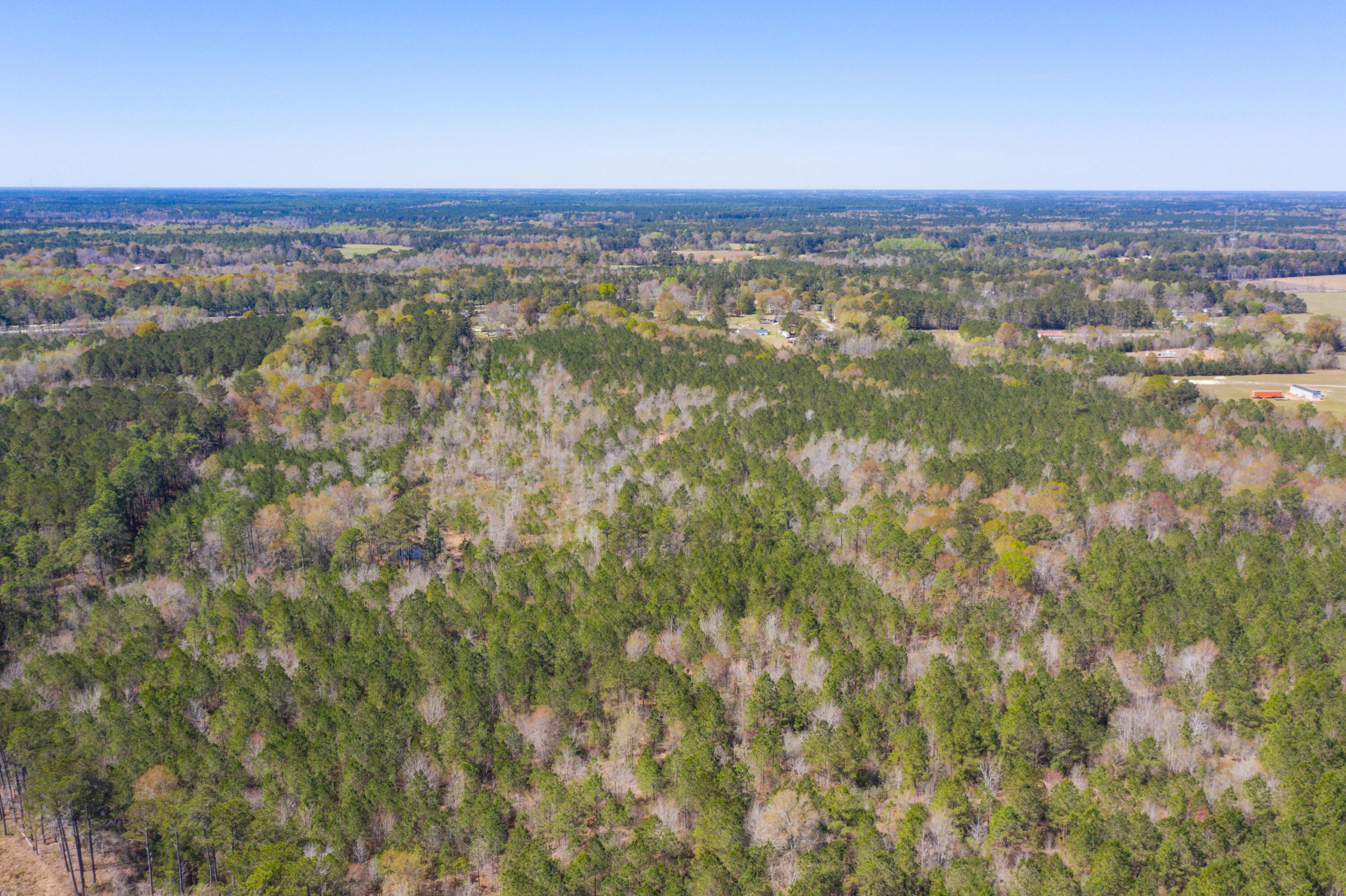 Two Churches Road, Harleyville, South Carolina image 12