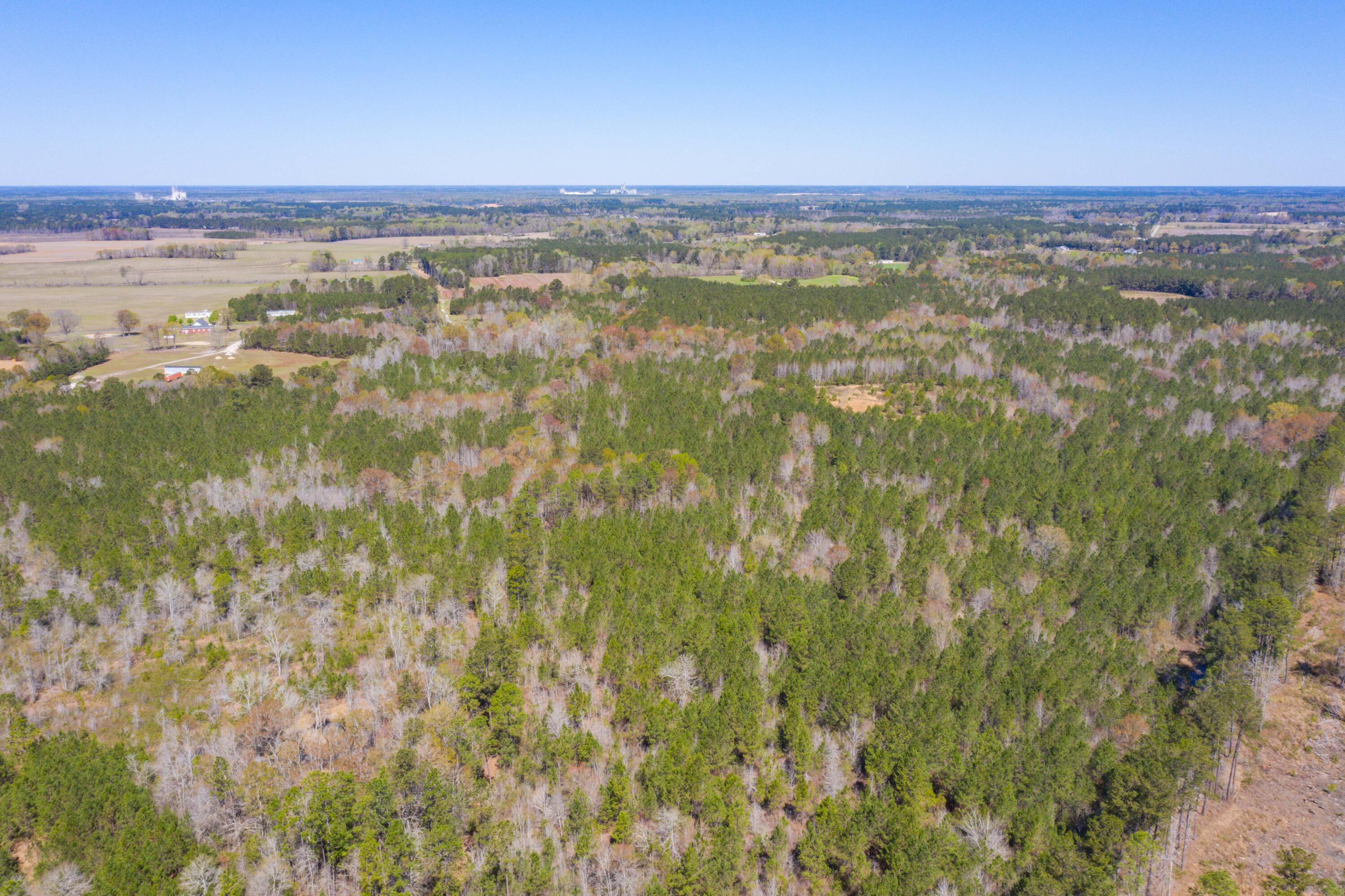 Two Churches Road, Harleyville, South Carolina image 9