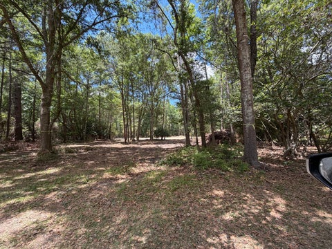 Homes For Sale - 4892 Highway  162<br/> Hollywood, SC 29449