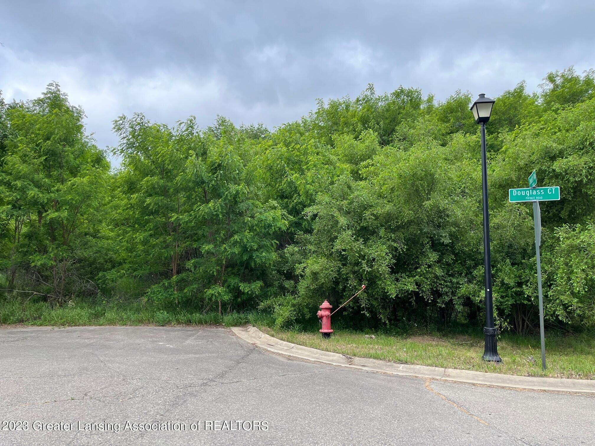 Jackson, Michigan 49201, United States, ,Land,Active,72446