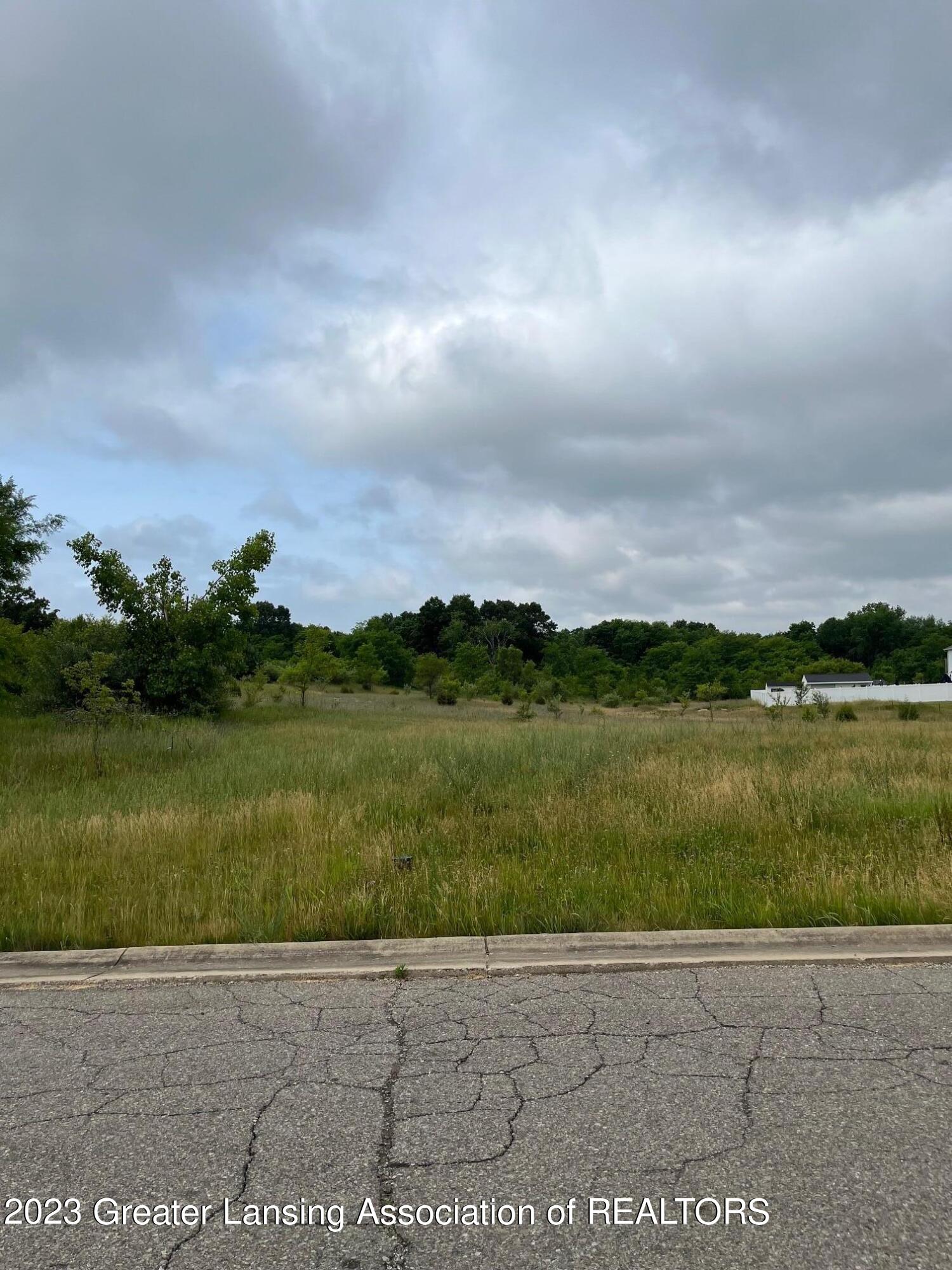 Jackson, Michigan 49201, United States, ,Land,Active,72446