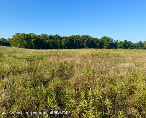 Photo for 12280 S Wacousta Road