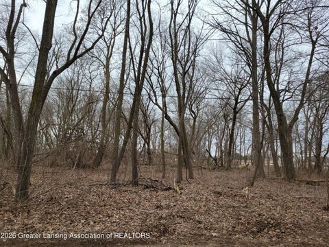 Photo for 0000 E M21