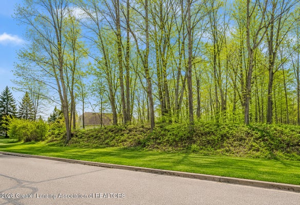6285 HEATHFIELD DR, EAST LANSING, MI 48823 - Image 806af6ce513ae36c7fd73af3f421bb49/563651840
