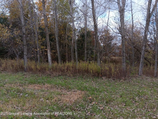 603 COUNTRY DR, PERRY, MI 48872 - Image 82363ae83ac5151e9097fd3e4e44cd6f/415647845