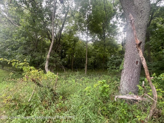 M DR, ALBION, MI 49224 - Image a172e216cd3d2f0b2a5e0ee6ead2fd34/3154087238
