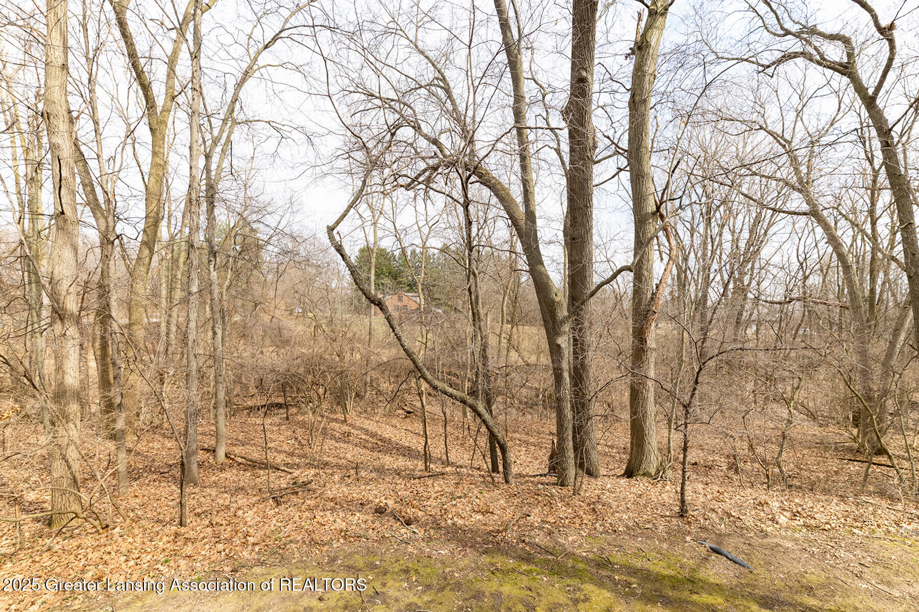 East Lansing, Michigan 48823, United States, 2 Bedrooms Bedrooms, ,2 BathroomsBathrooms,Residential,Active,90552