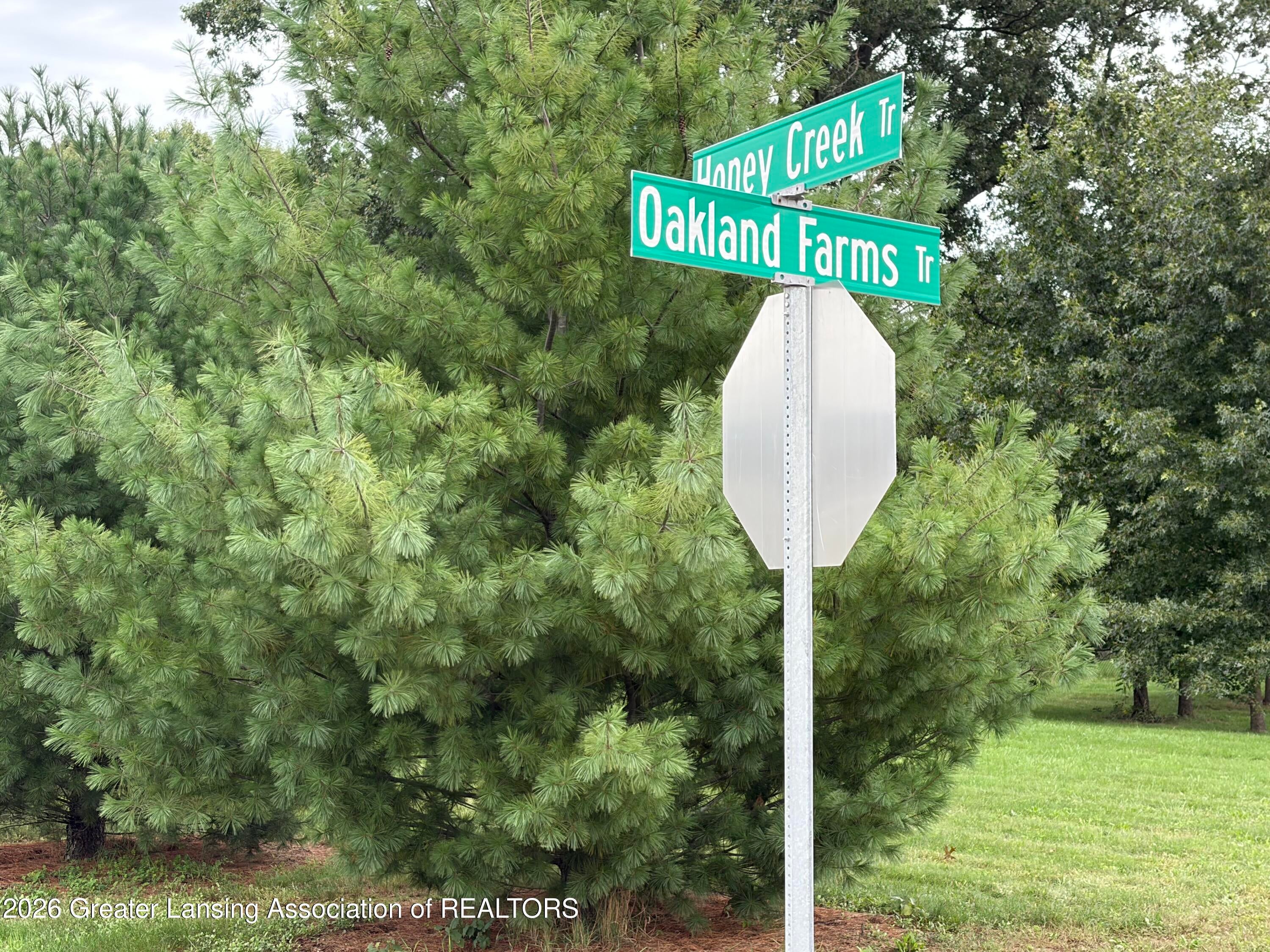 2522 Oakland Farms Trail - Photo 3