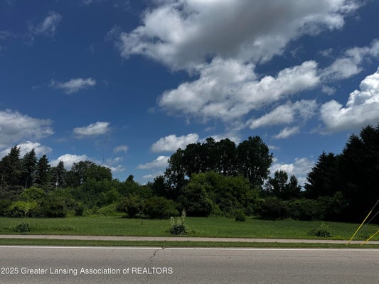 5360 HOLT RD, HOLT, MI 48842 - Image e6c3bea3a97bbb5eb77886eae23aa313/90133918