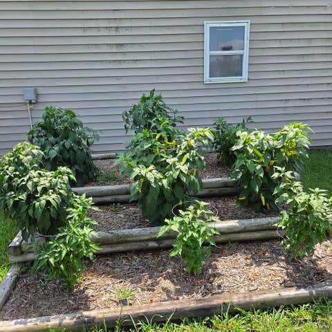Tiny photo for 5655 94th St, Meriden, KS 66512 (MLS # 245973)