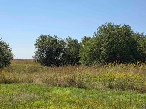 Tiny photo for 2633 Road G, Americus, KS 66835 (MLS # 246478)