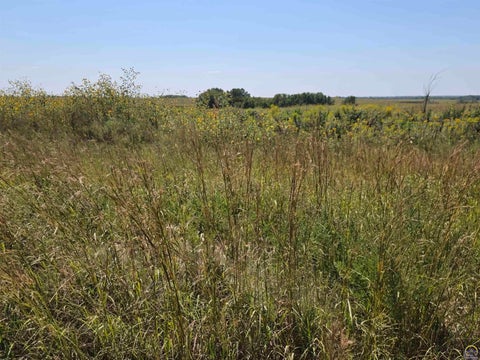 Tiny photo for 2633 Road G, Americus, KS 66835 (MLS # 246478)