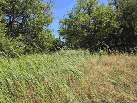 Tiny photo for 2633 Road G, Americus, KS 66835 (MLS # 246478)