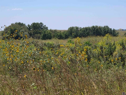 Tiny photo for 2633 Road G, Americus, KS 66835 (MLS # 246478)