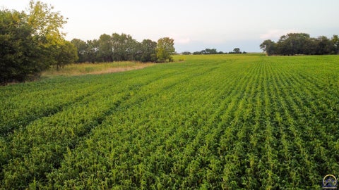 Tiny photo for 2633 Road G, Americus, KS 66835 (MLS # 246478)