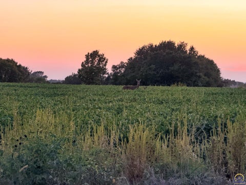 Tiny photo for 2633 Road G, Americus, KS 66835 (MLS # 246478)