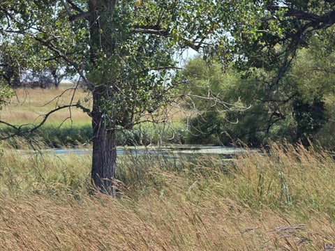 Tiny photo for 2633 Road G, Americus, KS 66835 (MLS # 246478)