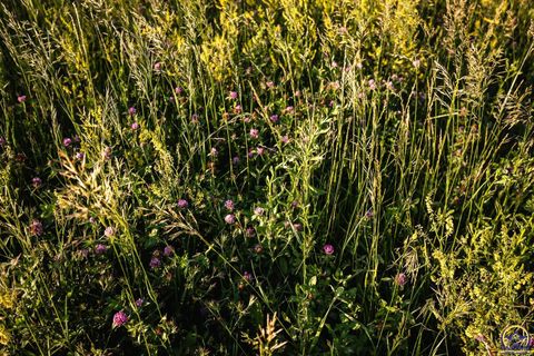Tiny photo for 12140 Miller Rd, Harveyville, KS 66431 (MLS # 244833)