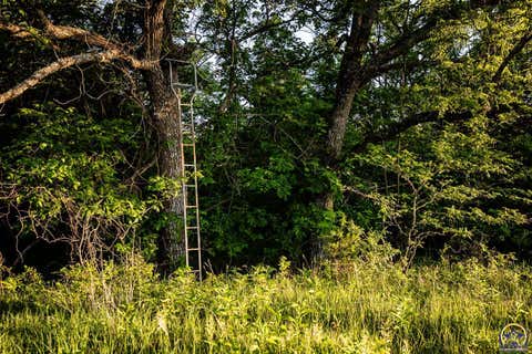 Tiny photo for 12140 Miller Rd, Harveyville, KS 66431 (MLS # 244833)