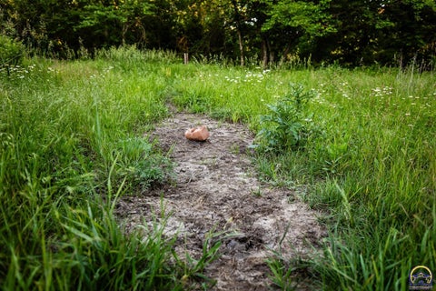 Tiny photo for 12140 Miller Rd, Harveyville, KS 66431 (MLS # 244833)