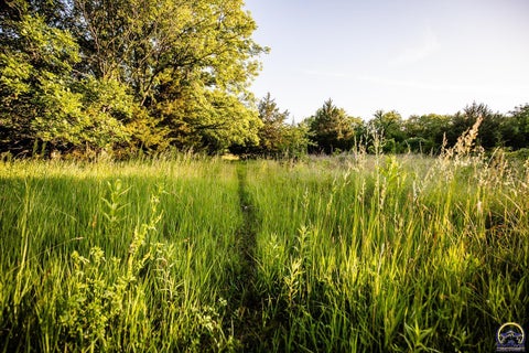 Tiny photo for 12140 Miller Rd, Harveyville, KS 66431 (MLS # 244833)