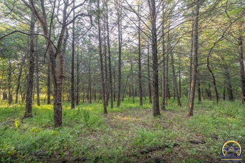 Tiny photo for 00000 Road 130, Emporia, KS 66801 (MLS # 246210)