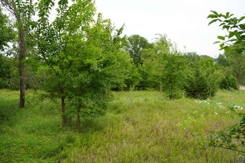 Tiny photo for 000 102nd St, Hoyt, KS 66440 (MLS # 245840)