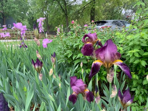 Tiny photo for 2101 Canterbury Rd, Emporia, KS 66801 (MLS # 243915)