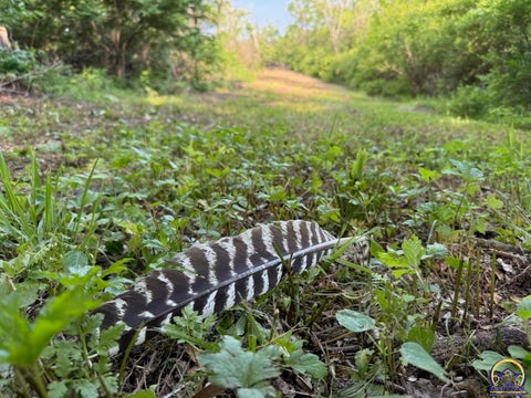 Tiny photo for 00000 102nd Rd, Hoyt, KS 66440 (MLS # 244525)