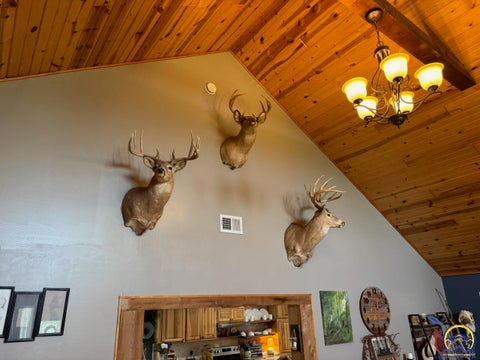 Tiny photo for 12621 Washington Rd, McLouth, KS 66054 (MLS # 246080)