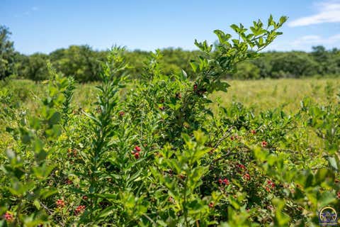 Tiny photo for 0000 S Ratner Rd #Parcel 1 220 ac m/l, Lyndon, KS 66451 (MLS # 245747)