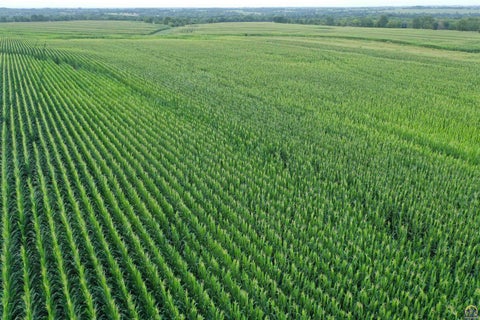 Tiny photo for 0000 S Ratner Rd #Parcel 1 220 ac m/l, Lyndon, KS 66451 (MLS # 245747)