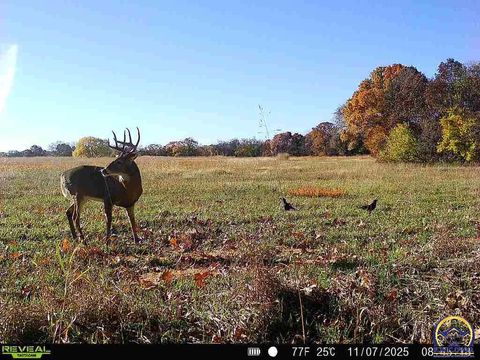 Tiny photo for 240 N 750 Rd #(3 Parcels), Overbrook, KS 66524 (MLS # 244403)