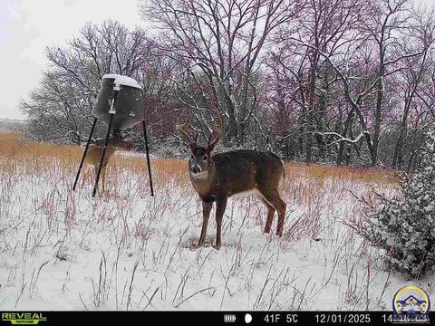 Tiny photo for 240 N 750 Rd #(3 Parcels), Overbrook, KS 66524 (MLS # 244403)