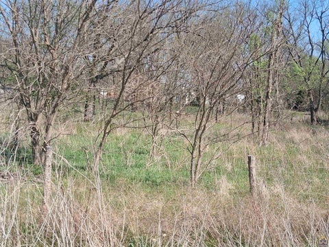 Tiny photo for 000 W 3rd St #3rd and Jefferson St, Lyndon, KS 66451 (MLS # 243853)