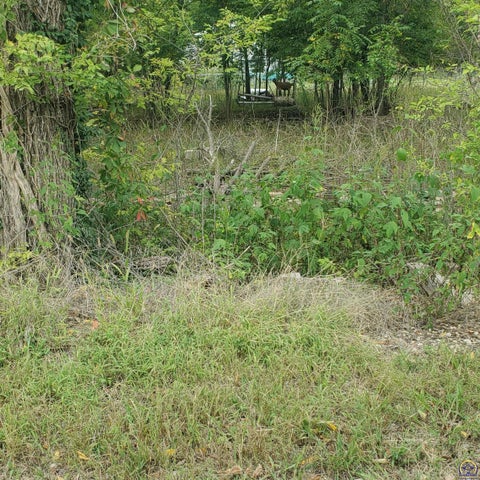 Tiny photo for 000 W 3rd St #3rd and Jefferson St, Lyndon, KS 66451 (MLS # 243853)