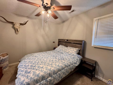 Tiny photo for 705 Washington St, Oskaloosa, KS 66066 (MLS # 245513)