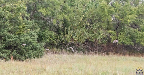 Tiny photo for 00000 SW Tawakoni Rd, Towanda, KS 67144 (MLS # 246796)