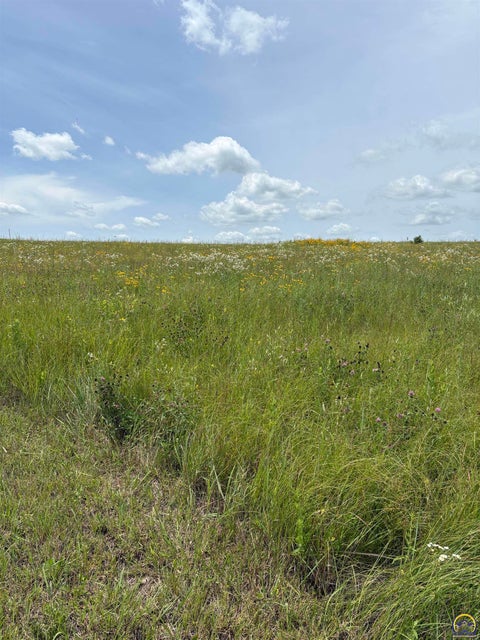 Tiny photo for 00000 N Fast Dr #Lot 6 Cul de sac, Burlingame, KS 66413 (MLS # 245352)