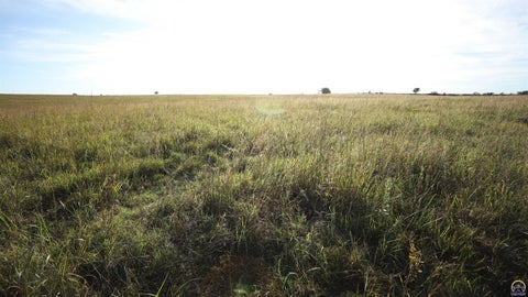 Tiny photo for 900 Road 310, Allen, KS 66833 (MLS # 246790)