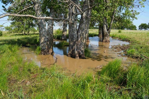 Tiny photo for 0000 102nd Rd, Hoyt, KS 66440 (MLS # 245775)