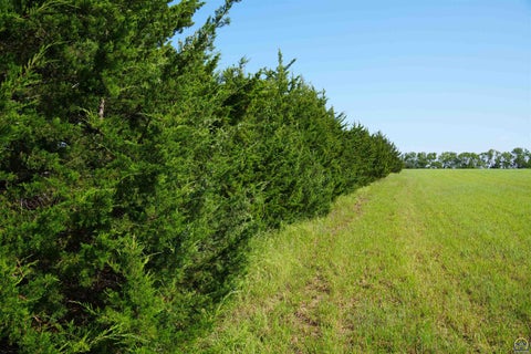 Tiny photo for 0000 102nd Rd, Hoyt, KS 66440 (MLS # 245775)